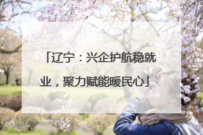 辽宁：兴企护航稳就业，聚力赋能暖民心