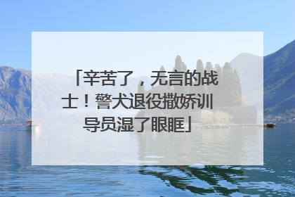 辛苦了，无言的战士！警犬退役撒娇训导员湿了眼眶