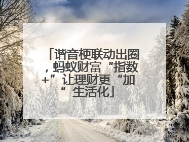 谐音梗联动出圈，蚂蚁财富“指数+”让理财更“加”生活化