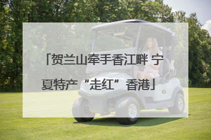 贺兰山牵手香江畔 宁夏特产“走红”香港