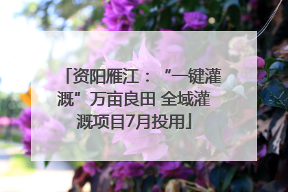 资阳雁江：“一键灌溉”万亩良田 全域灌溉项目7月投用