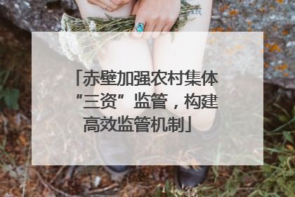 赤壁加强农村集体“三资”监管，构建高效监管机制