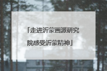 走进沂蒙画派研究院感受沂蒙精神