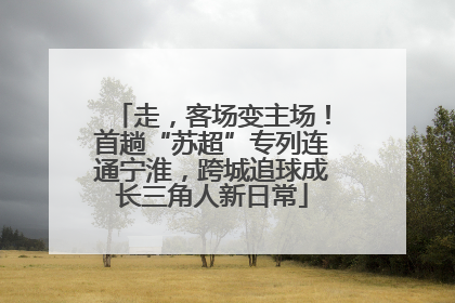 走，客场变主场！首趟“苏超”专列连通宁淮，跨城追球成长三角人新日常