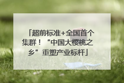 超前标准+全国首个集群！“中国大樱桃之乡”重塑产业标杆
