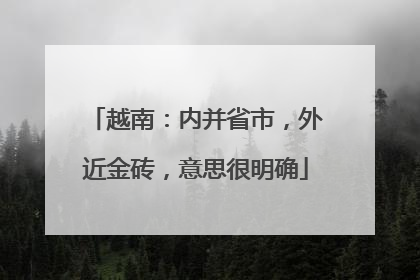 越南：内并省市，外近金砖，意思很明确
