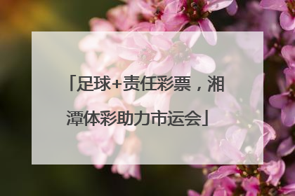 足球+责任彩票，湘潭体彩助力市运会