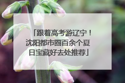 跟着高考游辽宁！沈阳都市圈百余个夏日宝藏好去处推荐