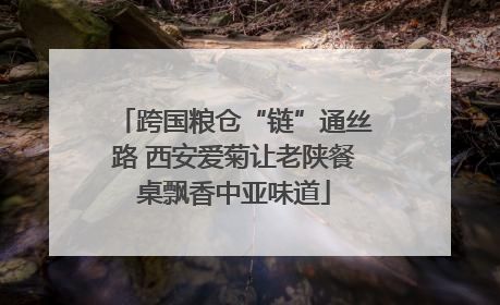 跨国粮仓“链”通丝路 西安爱菊让老陕餐桌飘香中亚味道