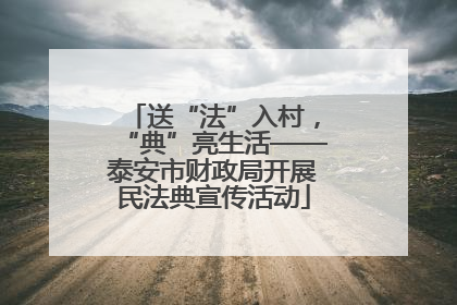 送“法”入村，“典”亮生活——泰安市财政局开展民法典宣传活动