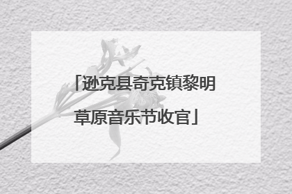 逊克县奇克镇黎明草原音乐节收官