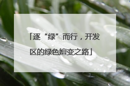 逐“绿”而行，开发区的绿色嬗变之路