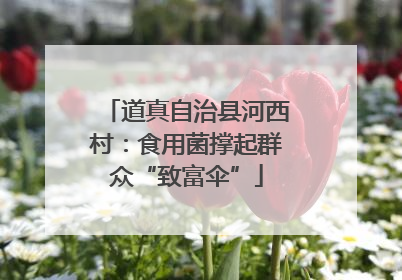 道真自治县河西村：食用菌撑起群众“致富伞”
