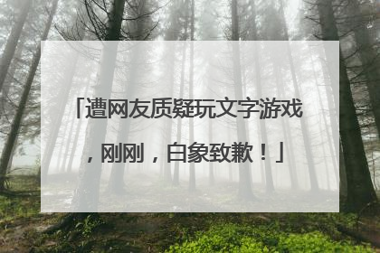 遭网友质疑玩文字游戏，刚刚，白象致歉！