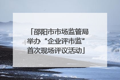 邵阳市市场监管局举办“企业评市监”首次现场评议活动