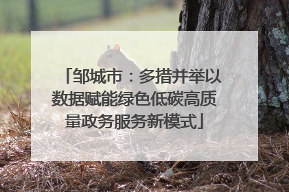 邹城市：多措并举以数据赋能绿色低碳高质量政务服务新模式