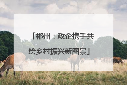 郴州：政企携手共绘乡村振兴新图景