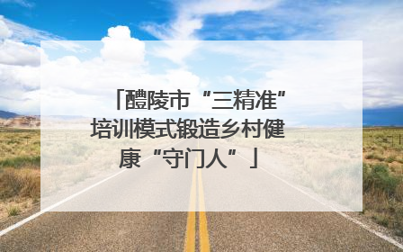 醴陵市“三精准”培训模式锻造乡村健康“守门人”