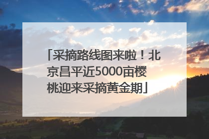 采摘路线图来啦！北京昌平近5000亩樱桃迎来采摘黄金期