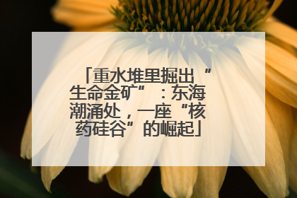 重水堆里掘出“生命金矿”：东海潮涌处，一座“核药硅谷”的崛起