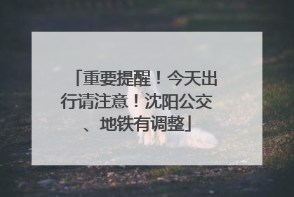 重要提醒！今天出行请注意！沈阳公交、地铁有调整