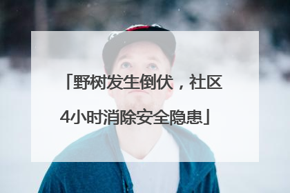 野树发生倒伏，社区4小时消除安全隐患