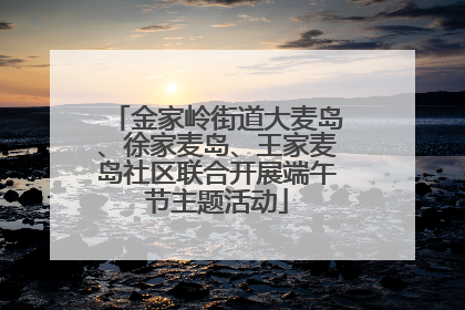 金家岭街道大麦岛、徐家麦岛、王家麦岛社区联合开展端午节主题活动
