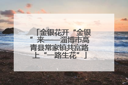 金银花开“金银”来——淄博市高青县常家镇共富路上“一路生花”