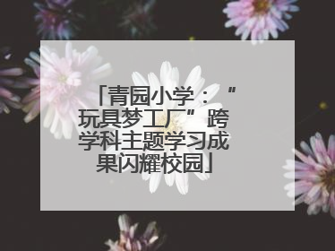 青园小学：“玩具梦工厂”跨学科主题学习成果闪耀校园