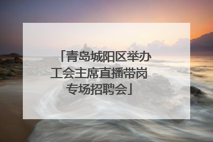 青岛城阳区举办工会主席直播带岗专场招聘会