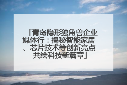 青岛隐形独角兽企业媒体行：揭秘智能家居、芯片技术等创新亮点 共绘科技新篇章