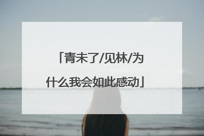 青未了/见林/为什么我会如此感动