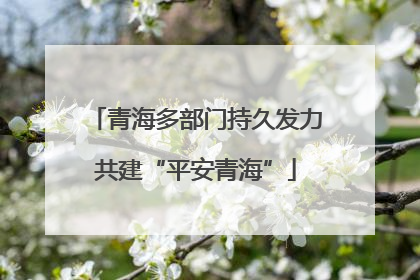 青海多部门持久发力共建“平安青海”