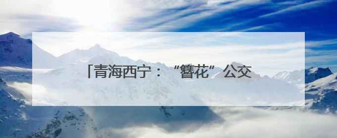 青海西宁：“簪花”公交车站扮靓城市“颜值”