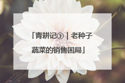青耕记③｜老种子蔬菜的销售困局