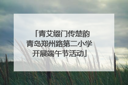 青艾缀门传楚韵 青岛郑州路第二小学开展端午节活动
