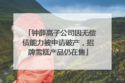 钟薛高子公司因无偿债能力被申请破产，招牌雪糕产品仍在售