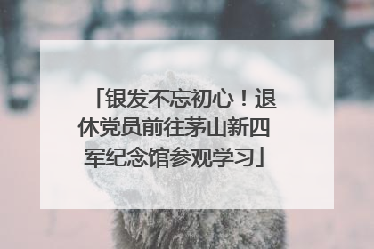 银发不忘初心！退休党员前往茅山新四军纪念馆参观学习