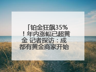 铂金狂飙35%！年内涨幅已超黄金 记者探访：成都有黄金商家开始转战铂金