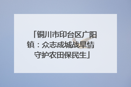 铜川市印台区广阳镇：众志成城战旱情 守护农田保民生