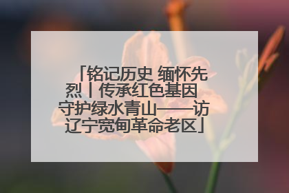 铭记历史 缅怀先烈丨传承红色基因 守护绿水青山——访辽宁宽甸革命老区