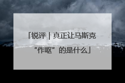 锐评｜真正让马斯克“作呕”的是什么