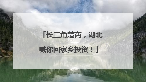 长三角楚商，湖北喊你回家乡投资！