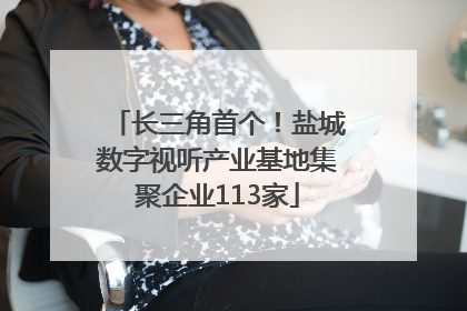 长三角首个！盐城数字视听产业基地集聚企业113家