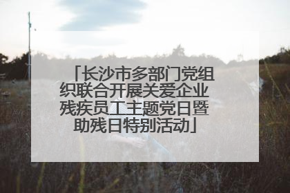 长沙市多部门党组织联合开展关爱企业残疾员工主题党日暨助残日特别活动