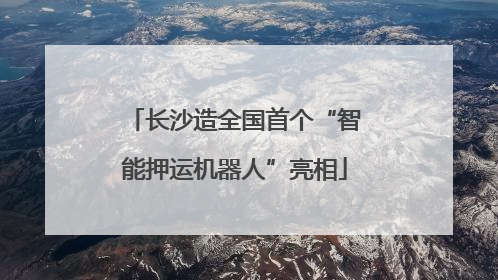 长沙造全国首个“智能押运机器人”亮相