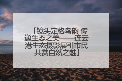 镜头定格鸟韵 传递生态之美——连云港生态摄影展引市民共赏自然之魅