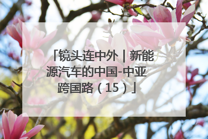 镜头连中外｜新能源汽车的中国-中亚跨国路（15）