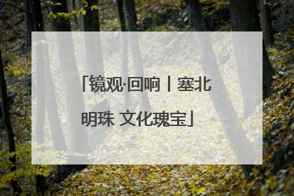 镜观·回响丨塞北明珠 文化瑰宝