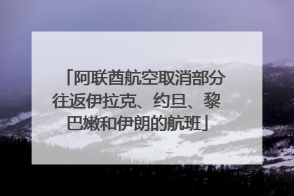 阿联酋航空取消部分往返伊拉克、约旦、黎巴嫩和伊朗的航班